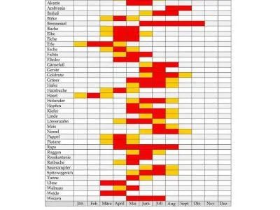Allergiezeit: Die Pollen sind in Anmarsch! - OLAF® der elefantastische Nasensauger