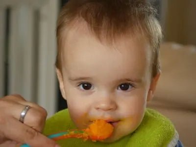 Babybrei - selber machen oder kaufen? - OLAF® der elefantastische Nasensauger